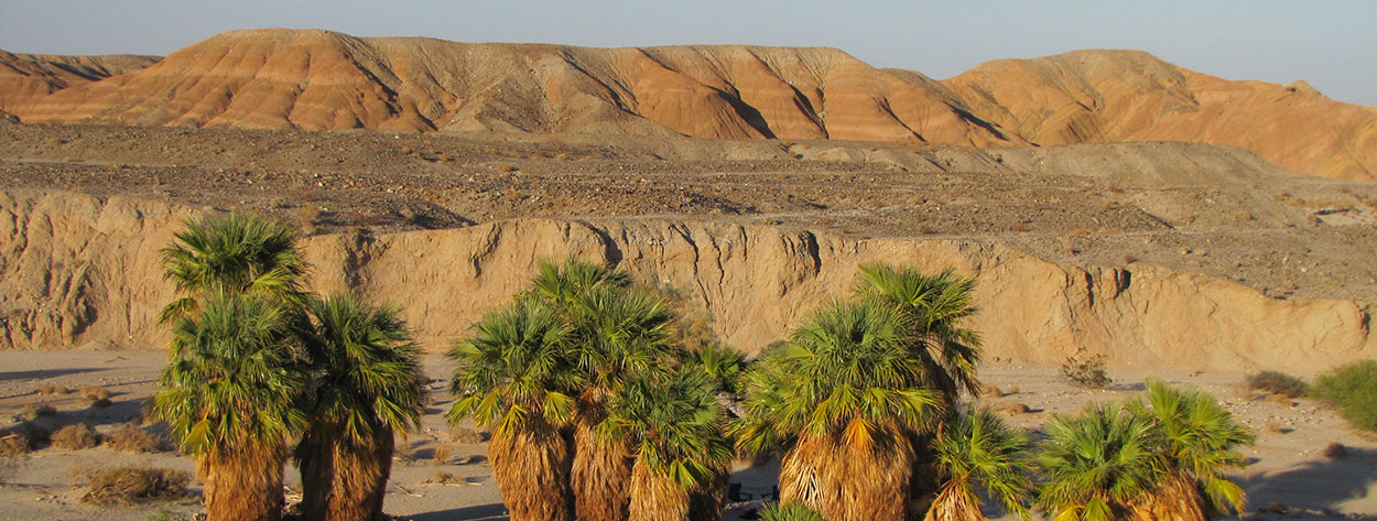 https://www.californiaoverland.com/wp-content/uploads/2012/09/about-anza-borrego-1250.jpg