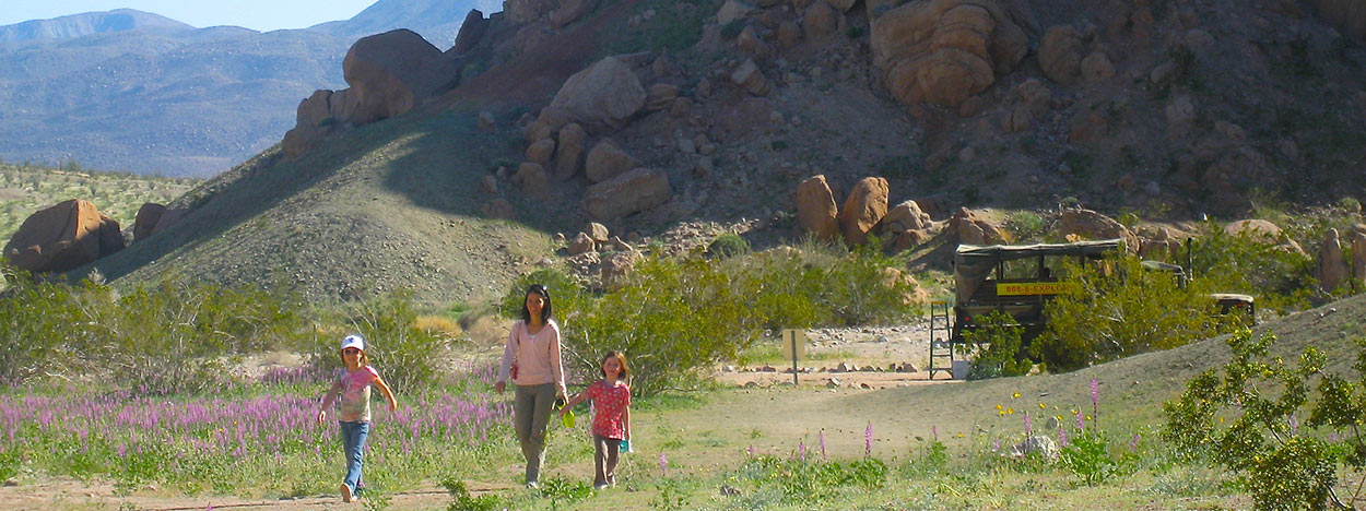 https://www.californiaoverland.com/wp-content/uploads/2012/09/family-desert-wildflower-tour-1250.jpg