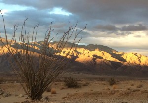 us desert tours